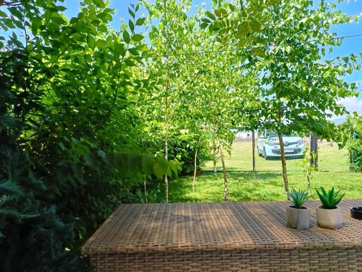 Tiny House - Baia De Fier Hotel Luaran gambar